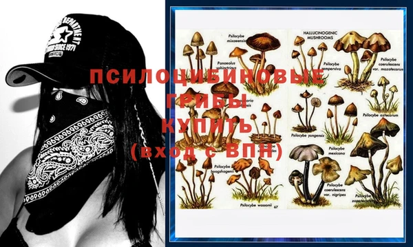 МДПВ Кодинск