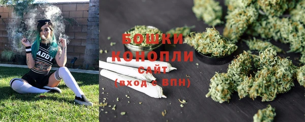 винт Козельск