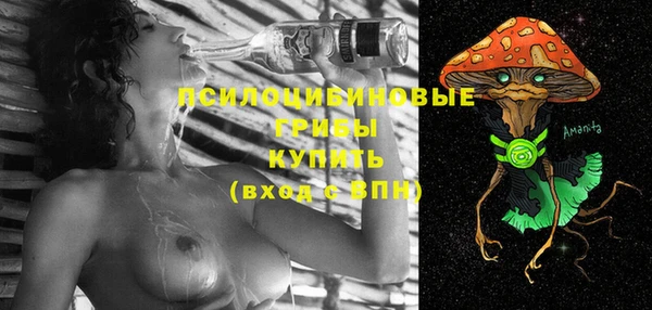 МДПВ Кодинск