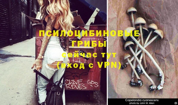 винт Козельск