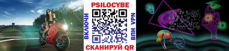 Купить где  Красный Кут  Псилоцибиновые грибы Cubensis 